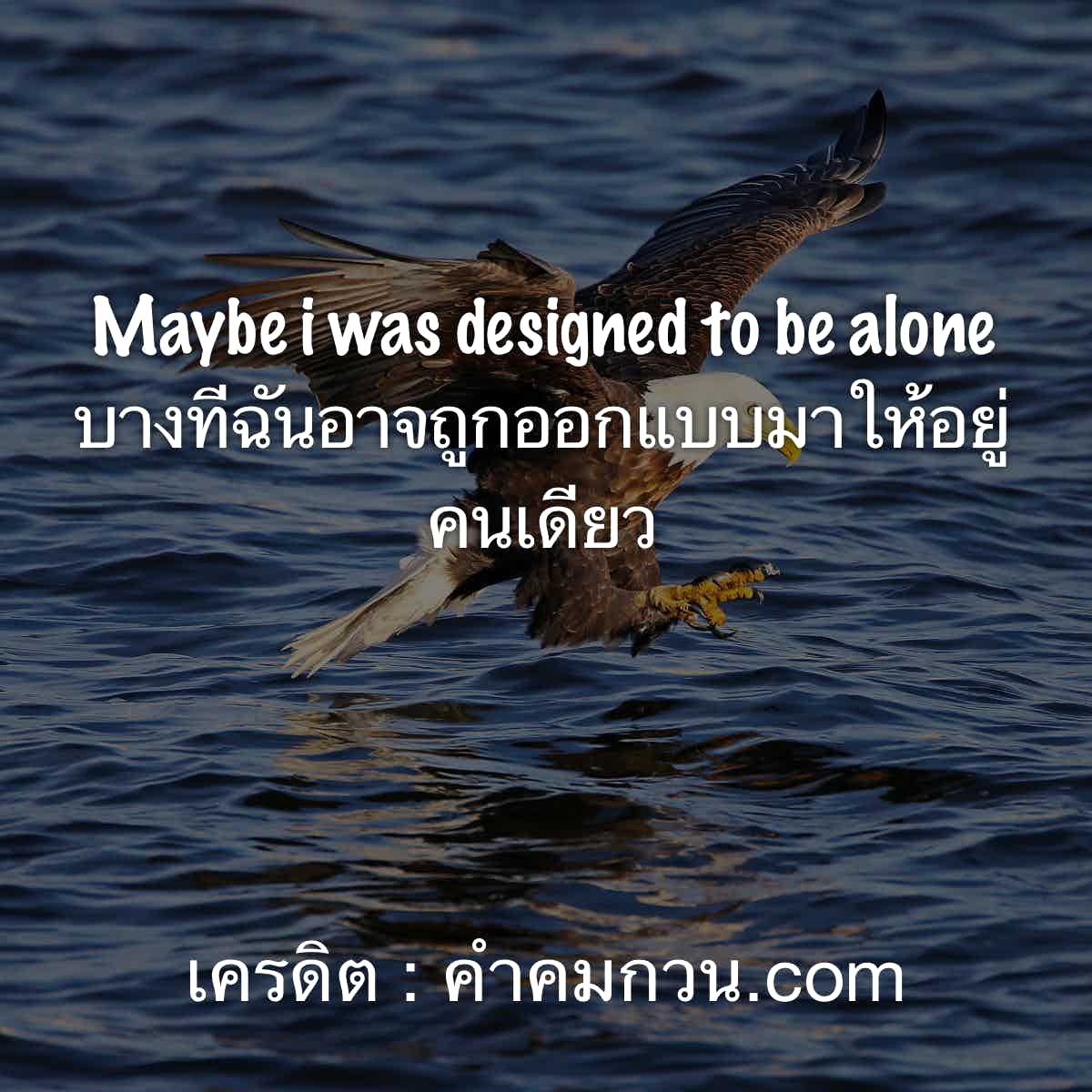 ตามทัน Social 138 คําคมอังกฤษ โดยสำหรับเรียกไลค์ Maybe I Was Designed To Be  Alone บางทีฉันอาจถูกออกแบบมาให้อยู่คนเดียว – คําคมความรู้สึก